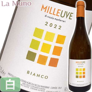 ボルゴ・デル・ティリオ ヴィーノ ビアンコ ミッレウーヴェ 白ワイン イタリア フリウリ 750ml 自然派ワイン Borgo del Tiglio Vino Bianco Milleuve