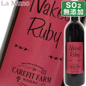 PAtBbgt@[Ci[ lCLbh r[ 2023N ԃC }XJbgx[[A 750ml {C _h~ܖY rI i`C Y RY