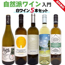 【クール代込み】 自然派ワイン入門セット 白ワイン 5本セット フランス イタリア スペイン ナチュラルワイン お試し 飲み比べ 飲みやすい 家飲み 誕生日 プレゼント ラムーノ