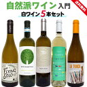自然派ワイン入門セット 白ワイン 5本セット フランス イタリア スペイン ナチュラルワイン お試し 飲み比べ 飲みやすい 家飲み 誕生日 プレゼント ラムーノ
