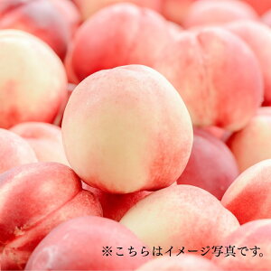 y܂Ƃߔ3kgz X~Og ([Og s[`) 16g (3kg 189) 1189~ \CveC  _CGbg e  eveC  u_CGbg Y NY 