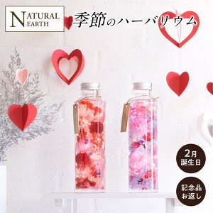 G n[oE 2 o^C CeA v[g Mtg  sN AWXg a a  d  t  Mtg v[g  a o[Xf[  