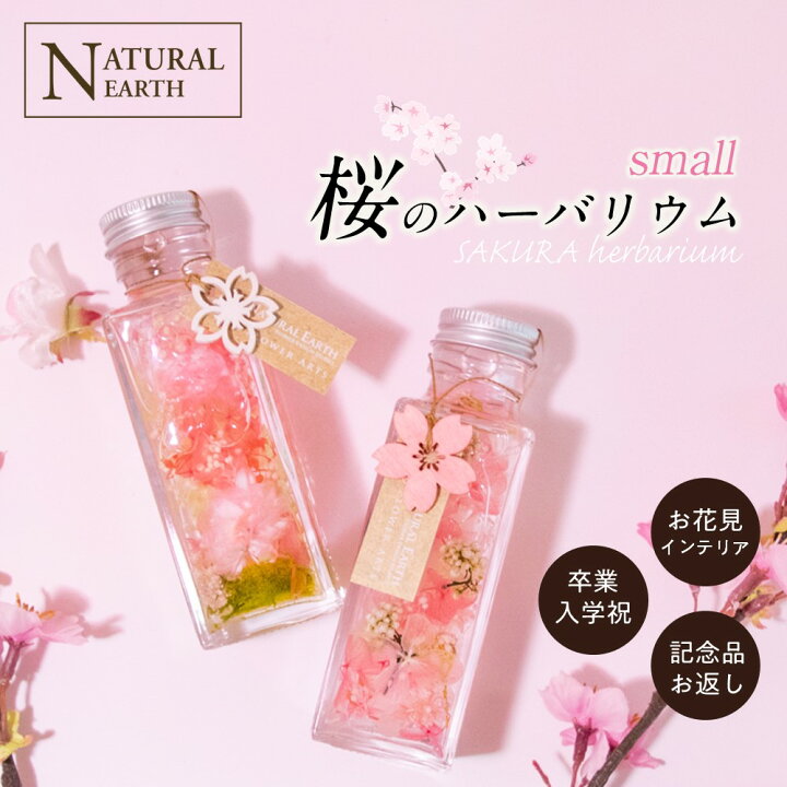 楽天市場 割引クーポン配布中 ハーバリウム 桜 サクラ 雑貨 桜モチーフ 小物 インテリア プレゼントにも最適 100ml 送料無料 スキンケア化粧品 ラ ミューテ