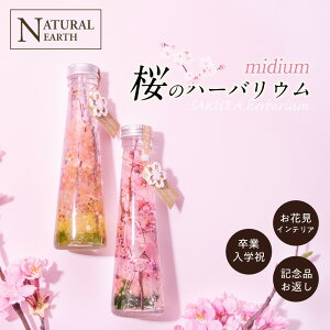 \割引クーポン配布中/ハーバリウム 桜 サクラ さくら 雑貨 桜モチーフ 小物 インテリア プレゼントにも最適 150ml 送料無料 母の日 父の日 敬老の日 誕生日 送別会 お礼 プレゼント 還暦 退