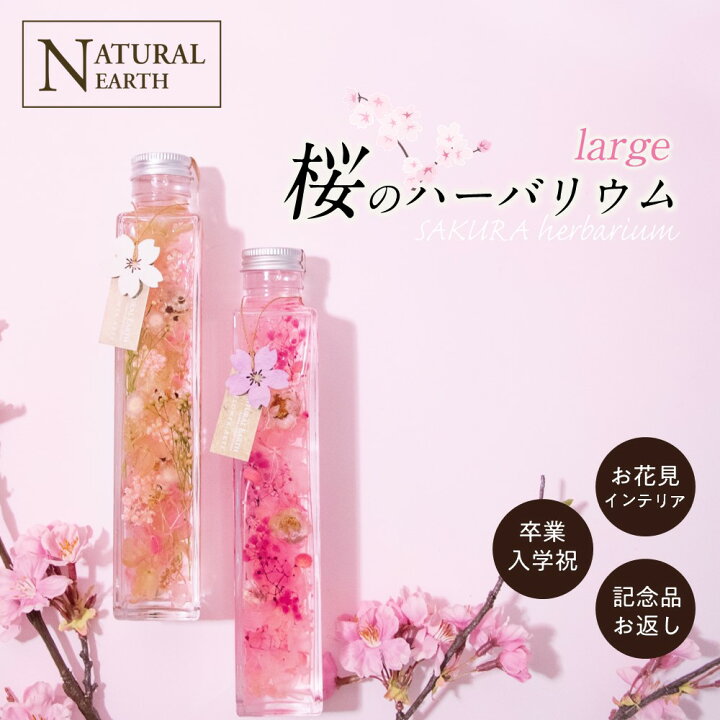 楽天市場 割引クーポン配布中 ハーバリウム 桜 サクラ 雑貨 桜モチーフ 小物 インテリア プレゼントにも最適 0ml 送料無料 スキンケア化粧品 ラ ミューテ