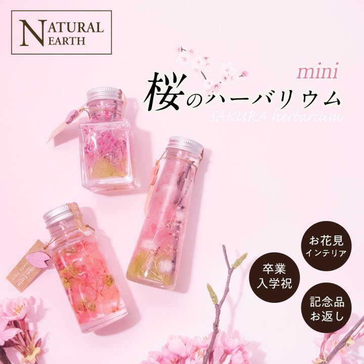 楽天市場 割引クーポン配布中 ハーバリウム 桜 サクラ 雑貨 桜モチーフ 小物 インテリア プレゼントにも最適 50ml 送料無料 スキンケア化粧品 ラ ミューテ