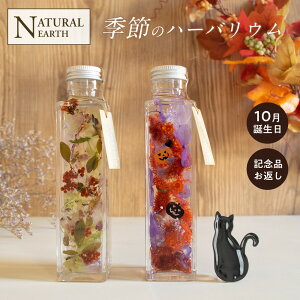 ボトルフラワー プリザーブドフラワー ギフトの人気商品 通販 価格比較 価格 Com ボトルフラワー プリザーブドフラワー ギフトの人気商品 通販 価格比較 価格 Com