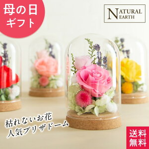 yxĂ߂z ̓  KXh[ [YK[f vU[uht[ t[   ̓ KXh[ vU LO bsO 2025 