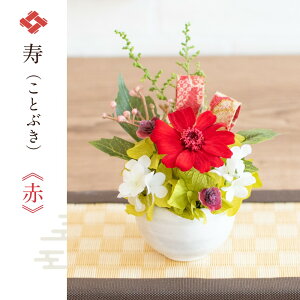 yxĂ߂ˁz hV̓ Z a炬 炬 vU Β Zbg vU[uht[ t[    v[g ɐlC c c 2025  AWg fCT[