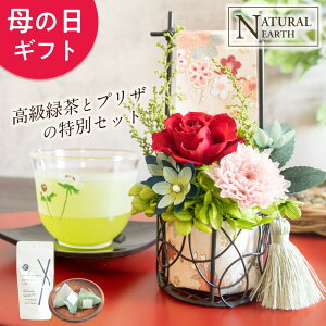 yxĂ߂z ̓  a ^t[̘a_vU Β Zbg vU[uht[ t[   ̓ hV̓ v[g   v[g ɐlC c c