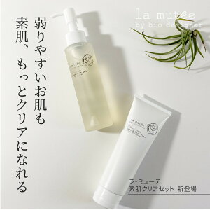 �f���N���A�Z�b�g�@�ь��P�A�@�_�u�����s�v �ь� ��� ���ϗ��Ƃ� ���{���y�V�����z���E�~���[�e �o���A�N�����W���O�W�F�� ���C�N���Ƃ� ���C�N�I�t��