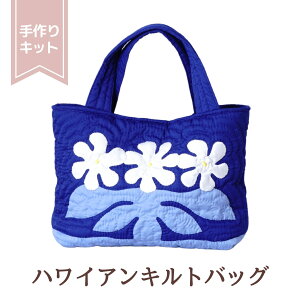 v[g nCALg Lbg ς pLbg nCALgLbg yobOz ynCA eBAzyiCu[zy㋉z