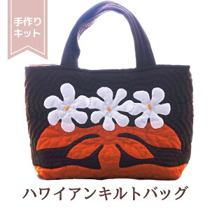 v[g nCALg Lbg ς pLbg nCALgLbg yobOz ynCA eBAzyiCu[zy㋉z