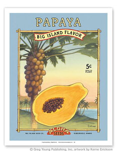 �n���C�A�� �|�X�^�[ �y�r���e�[�W�z�yPapaya - Aloha Seeds �z�y��23×30cm�z�n���C�A���G�݁@�n���C�A�� �G�� �C���e���A