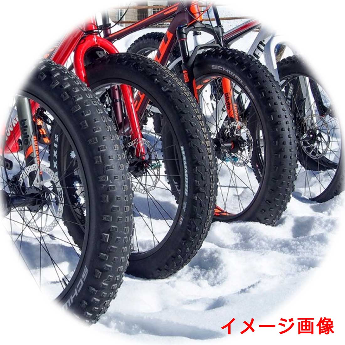 楽天市場】自転車 スパイクタイヤ VEE TIRE SNOWSHOE 240STUDS 26×4.8 
