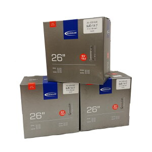 ] `[u SCHWALBE 26×3.5-4.8 FV t@bg`[u