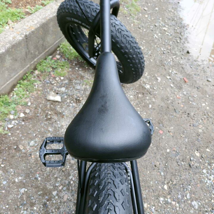 楽天市場】 自転車 通販 20BRONX-DD マットブラック×ブラックリム 
