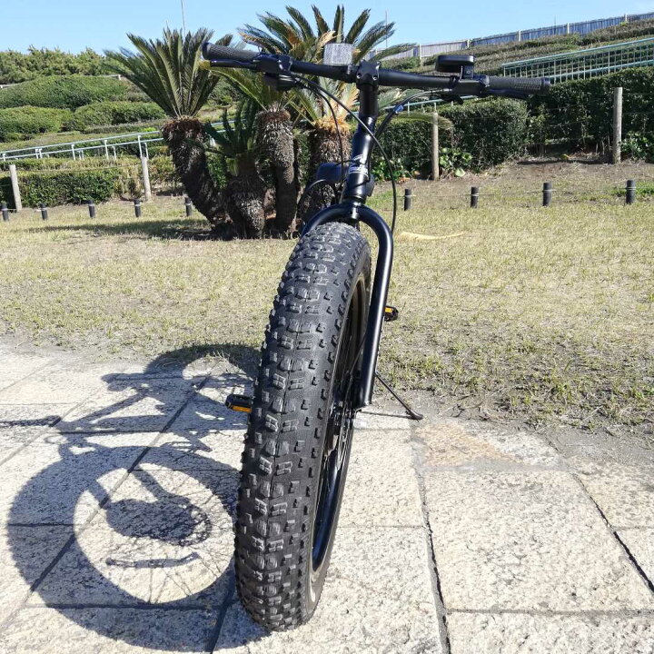 楽天市場】電動アシスト自転車 BRONX TRX EVO BLACK×BLACKリム E-BIKE 