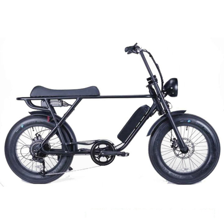 楽天市場】電動アシスト自転車 BRONX BUGGY-20 マットブラック e-BIKE  