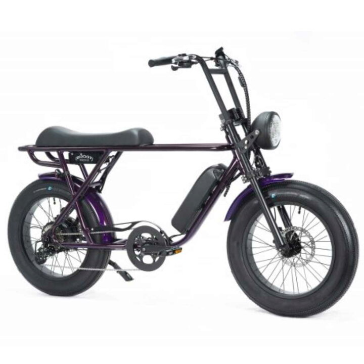 楽天市場】電動アシスト自転車 BRONX BUGGY-20 e-BIKE Amethysit e 