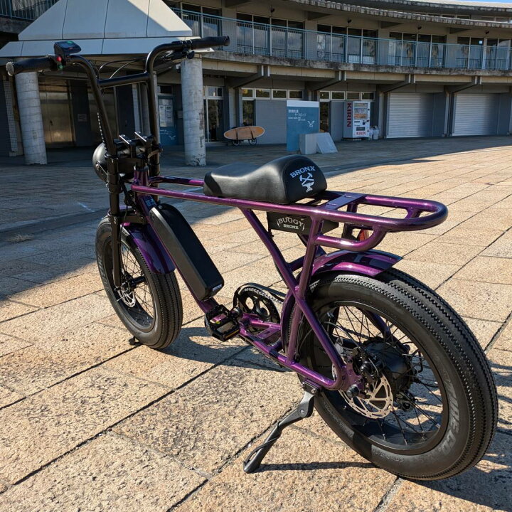 楽天市場】電動アシスト自転車 BRONX BUGGY-20 e-BIKE Amethysit e 