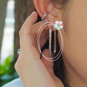 lana jewelry sAX t[v 傫 XNGA vA  XN[ Ў nCAWG[ T[WJXeX316L AM[Ή fB[X 