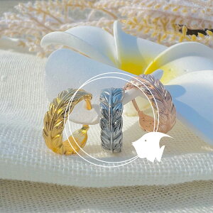 t[vsAX {fBsAX fB[X Y 18G 16G 14G Ўp 1 nCAWG[ lana jewelry iWG[ T[WJXeX316L AM[Ή S AM[t