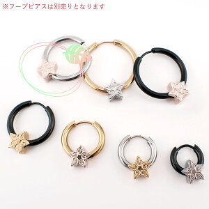 lana jewelry JX^r[Y  sAX ANZT[ 1 XN[ nCAWG[ T[WJXeX316L AM[Ή fB[X Y 