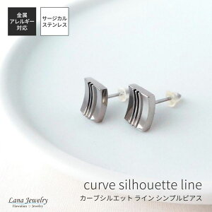 lana jewelry sAX Vv ` XNGA J[u C T[WJXeX316L AM[Ή fB[X Y 