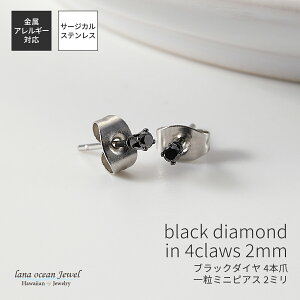 sAX ςȂ  fB[X Y p T[WJXeX316L ubN_C VR a2mm ~j ɏ  ꗱ Xg[ 4{ Vv ɗD AM[