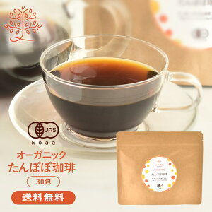 I[KjbN ۂۃR[q[ |[hY tXY 30 eB[obOyz^||R[q[ ۂے ^|| ۂ L@JAS mJtFC Y   