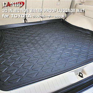 LANBO g^ hN[U[ FJ300 3DQbW}bg