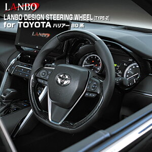 LANBO g^ nA[[MXUA/AXUH80E85] fUCXeAO TYPEII