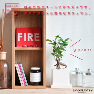  K炷 삪Zޖ KW} F L[u SSTCY y؃uEMz  e LOi e e ~j lQ ϗtA CeA Mtg av[