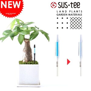 莞ڂɌ@ApvuSustee/TXeB[vMTCYyyMt_̂zyyMt_̂zyyMt_bZzyyMt_bŹzpL@Cabinotier@hV̓@|Cg