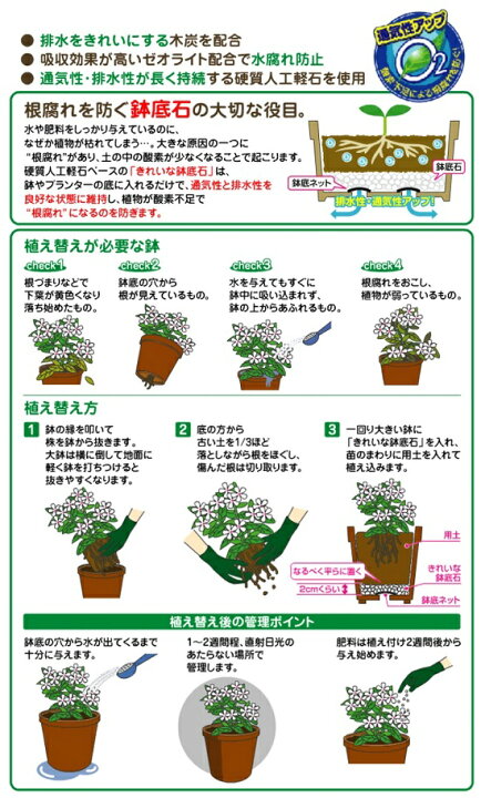 楽天市場 きれいな鉢底石 ２ｌ 根腐れを防ぐ大切な役目の 軽石鉢底石 硬質人工軽石 敬老の日 ポイント消化 観葉植物 Land Plants 楽天市場店