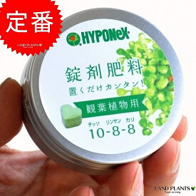 楽天市場 ドラセナ 園芸薬剤 植物活性剤 ガーデニング 農業 花 ガーデン Diyの通販