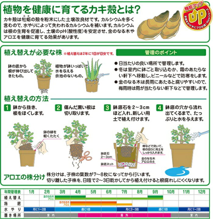 楽天市場 金のなる木 アロエの土 5l 失敗しない 失敗させない ピンピン育つ 専用用土シリーズ カネノナルキ 金の生る木 アロエ アガベ 観葉植物 Land Plants 楽天市場店