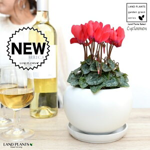 K[fVNiԉԁj F ی^ 픫 yVRӐ΁EMz VN JKroii⾉Ήԁj u^m}WEi؂\j c c ԕc  A A  bh  zC