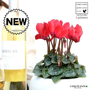 VNiԉԁj F ی^ 픫 yVRӐ΁EMz K[fVN JKroii⾉Ήԁj u^m}WEi؂\j c c ԕc  A A  bh  zC