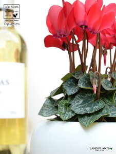 K[fVNibhj F ی^ 픫 yVRӐ΁EMz VN JKroii⾉Ήԁj u^m}WEi؂\j c c ԕc  A A ԉ  bh  