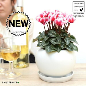 K[fVNiFԉԁj F ی^ 픫 yVRӐ΁EMz VN tC ~bNX JKroii⾉Ήԁj u^m}WEi؂\j c c ԕc  A 