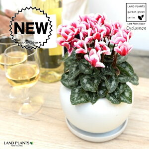 K[fVNiFԉԁj F ی^ 픫 yVRӐ΁EMz VN tC ~bNX JKroii⾉Ήԁj u^m}WEi؂\j c c ԕc  A 