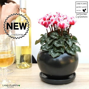 K[fVNiFԉԁj F  픫 yVRӐ΁EMz VN tC ~bNX JKroii⾉Ήԁj u^m}WEi؂\j c c ԕc  A 