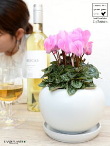 K[fVNisNj F ی^ 픫 yVRӐ΁EMz VN tC ~bNX JKroii⾉Ήԁj u^m}WEi؂\j c c ԕc  A A 