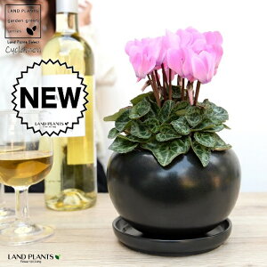 K[fVNisNj F  픫 yVRӐ΁EMz VN tC ~bNX JKroii⾉Ήԁj u^m}WEi؂\j c c ԕc  A A 