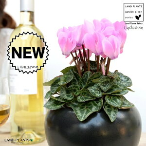 K[fVNisNj F  픫 yVRӐ΁EMz VN tC ~bNX JKroii⾉Ήԁj u^m}WEi؂\j c c ԕc  A A 