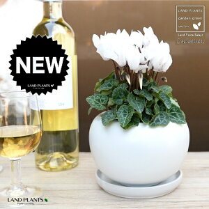 K[fVNiԁj F ی^ 픫 yVRӐ΁EMz VN tC ~bNX JKroii⾉Ήԁj u^m}WEi؂\j c c ԕc  A A  