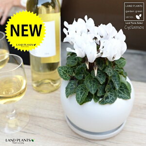 K[fVNiԁj F ی^ 픫 yVRӐ΁EMz VN tC ~bNX JKroii⾉Ήԁj u^m}WEi؂\j c c ԕc  A A  