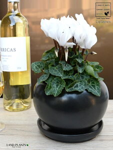 K[fVNiԁj F  픫 yVRӐ΁EMz VN tC ~bNX JKroii⾉Ήԁj u^m}WEi؂\j c c ԕc  A A  